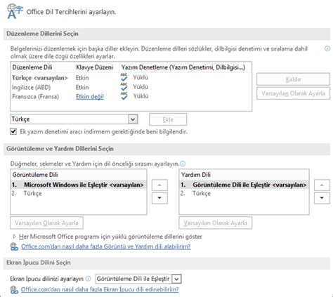 Microsoft office 365 türkçe dil paketi